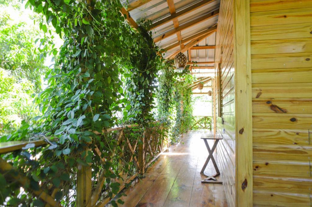 El Gallo Ecolodge Puerto Plata Exterior photo