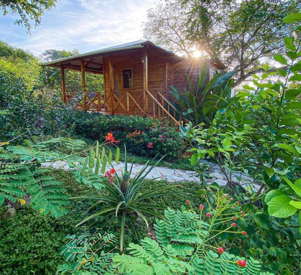 El Gallo Ecolodge Puerto Plata Exterior photo