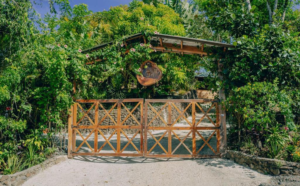 El Gallo Ecolodge Puerto Plata Exterior photo
