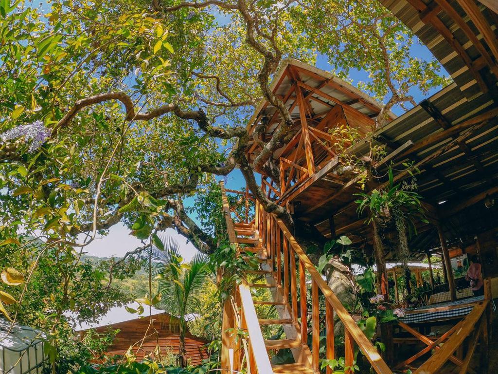 El Gallo Ecolodge Puerto Plata Exterior photo
